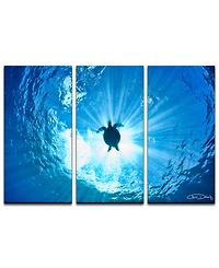 Ready2HangArt 'Sea Turtle' 3-Pc. Canvas Art Print Set