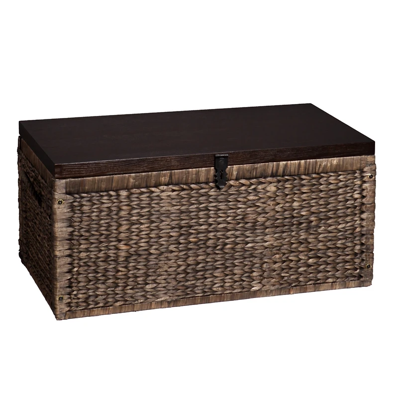 Water Hyacinth Storage Trunk
