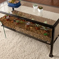 Terrarium Display Cocktail Table