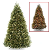 National Tree Company 10' Dunhill Fir Tree with 1200 Dual Color Led Lights and PowerConnect