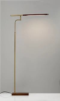 Adesso Barrett Led Floor Lamp