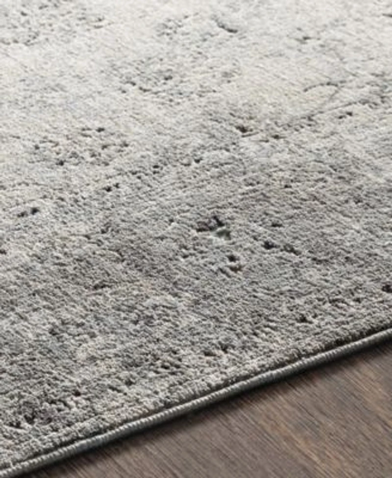 Livabliss Presidential Pdt Medium Gray Area Rug Collection