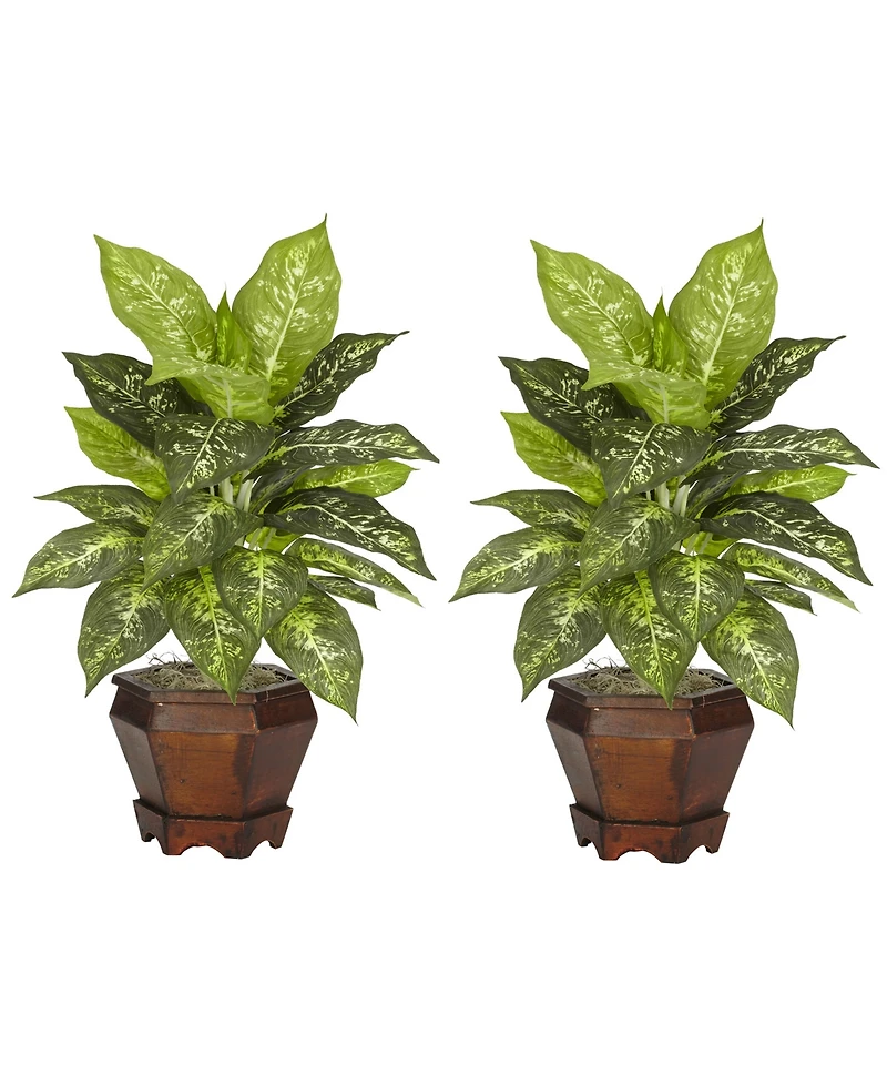 Nearly Natural Dieffenbachia w/Wood Vase Silk Plant, Set of 2