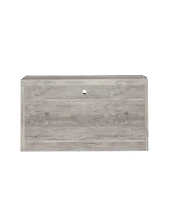 Chester 2-Drawer Tv Console