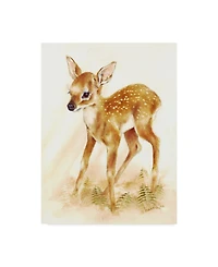 Peggy Harris 'Fawn' Canvas Art - 18" x 24"