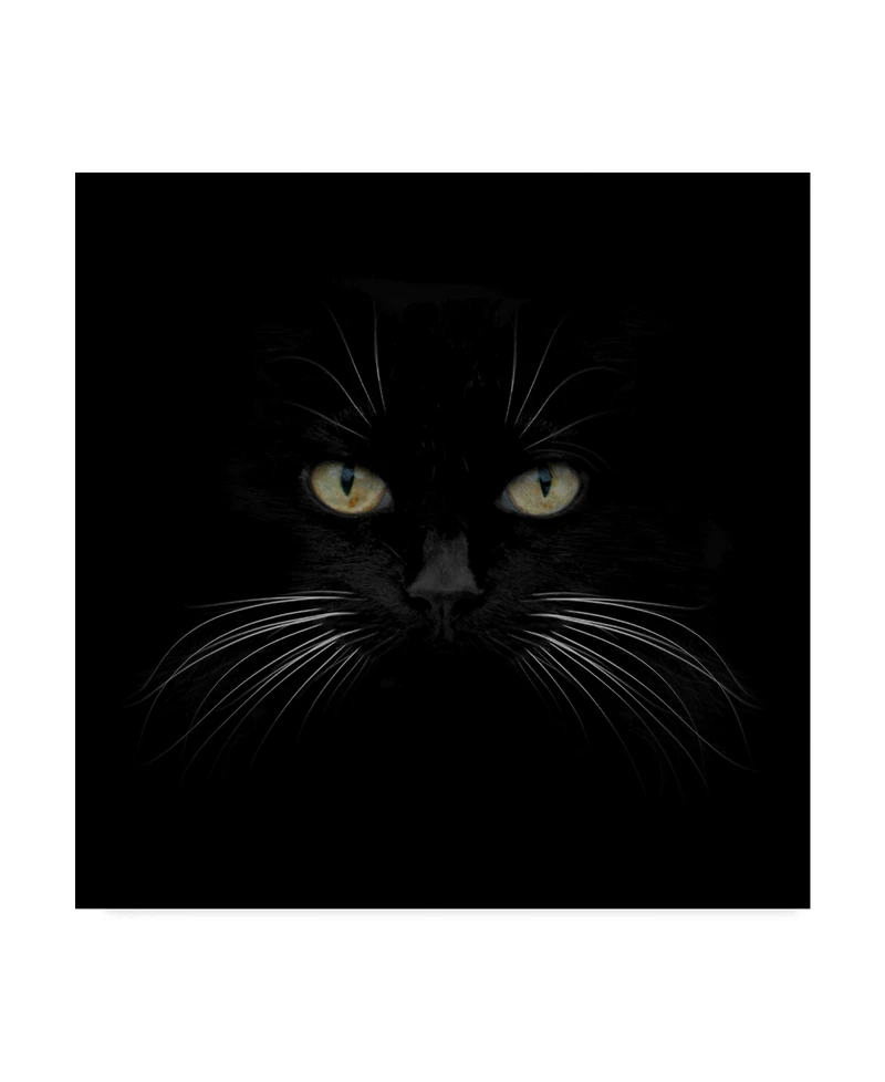 Lori Hutchison 'Black Cat Centered' Canvas Art - 18" x 18"