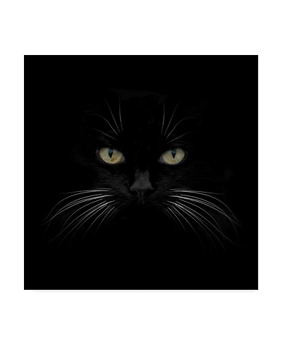 Lori Hutchison 'Black Cat Centered' Canvas Art - 18" x 18"