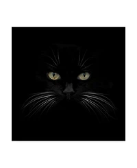 Lori Hutchison 'Black Cat Centered' Canvas Art - 18" x 18"