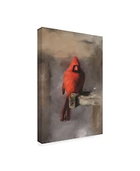 Lois Bryan 'Bright Red Cardinal on a Perch' Canvas Art - 12" x 19"