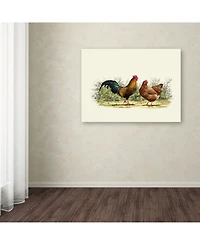 The Macneil Studio 'Cockerel And Hen Copy' Canvas Art - 14" x 19"