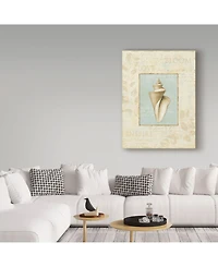 Lisa Audit 'Soothing Words Shells Iii' Canvas Art - 14" x 19"