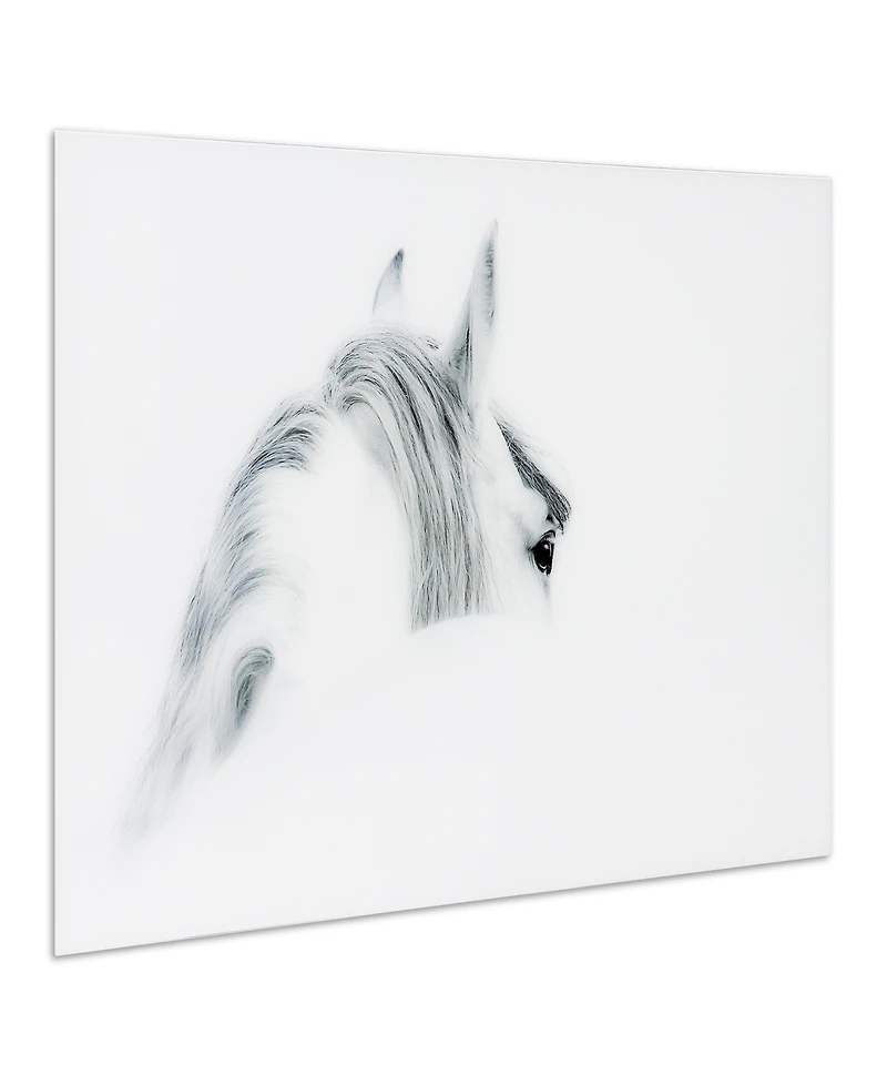 Empire Art Direct 'Blanco Mare Horse' Frameless Free Floating Tempered Glass Panel Graphic Wall Art - 48" x 32''