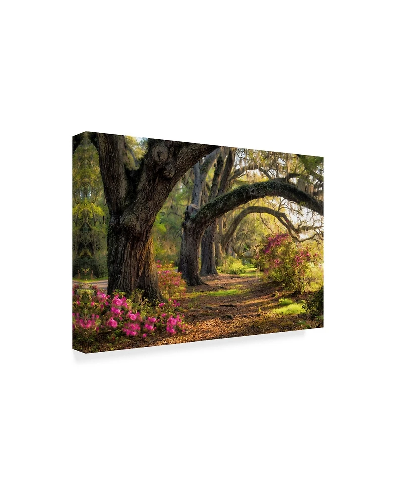 Danny Head Under the Live Oaks I Canvas Art - 15" x 20"