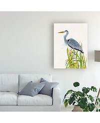 Naomi Mccavitt Water Birds and Cattails Ii Canvas Art - 15" x 20"