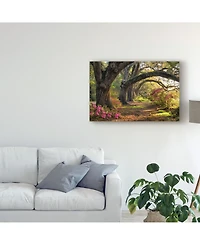 Danny Head Under the Live Oaks I Canvas Art - 15" x 20"