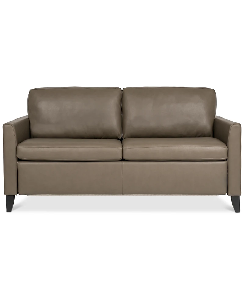 Priley 70" Leather Queen Sleeper Sofa