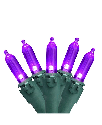 Northlight Set of 50 Purple Led Mini Christmas Lights 4" Spacing - Green Wire