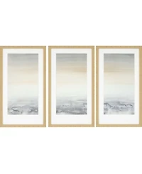 Paragon Sable Island Framed Wall Art Set of 3, 32" x 18"