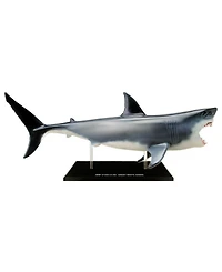 4D Master 4D Vision Great White Shark Anatomy Model