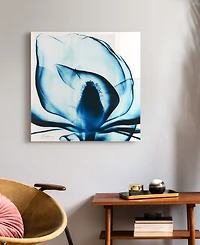 Empire Art Direct Blue Magnolia x-ray Frameless Free Floating Tempered Glass Panel Graphic Wall Art, 24" x 24" x 0.2"