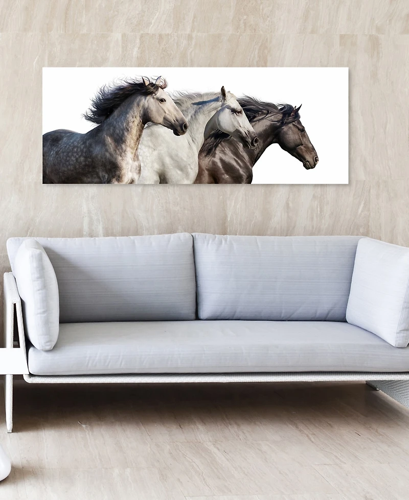 Empire Art Direct Trilogy 1 Frameless Free Floating Tempered Glass Panel Graphic Wall Art, 24" x 63" x 0.2"