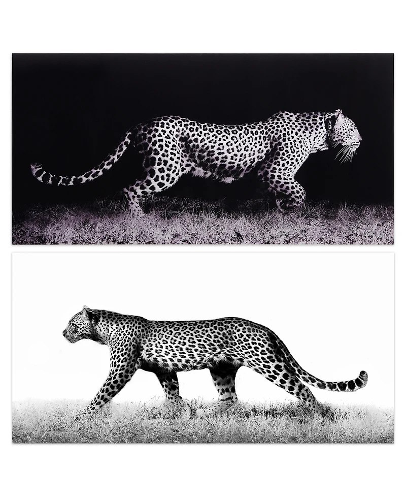 Empire Art Direct Fearless 1 and 2 Frameless Free Floating Tempered Glass Panel Graphic Wall Art, 24" x 48" x 0.2"