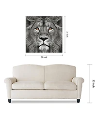 Empire Art Direct King of the Jungle Lion Eye of the Tiger Frameless Free Floating Tempered Glass Panel Graphic Wall Art, 38" x 38" x 0.2"