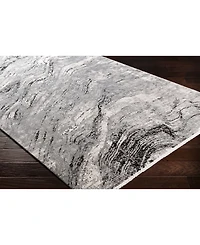 Surya Solar Sor-2309 Charcoal 3' x 8' Runner Area Rug