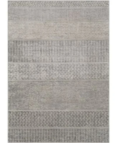 Livabliss Monaco Moc 2304 Silver Area Rug