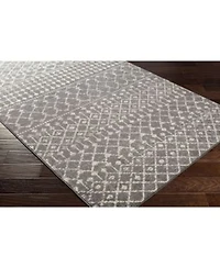 Livabliss Chester Che 2321 Gray Area Rug