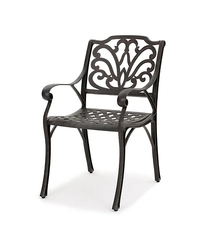 Noble House Alfresco Outdoor Cast Dining Chairs, Set of 2