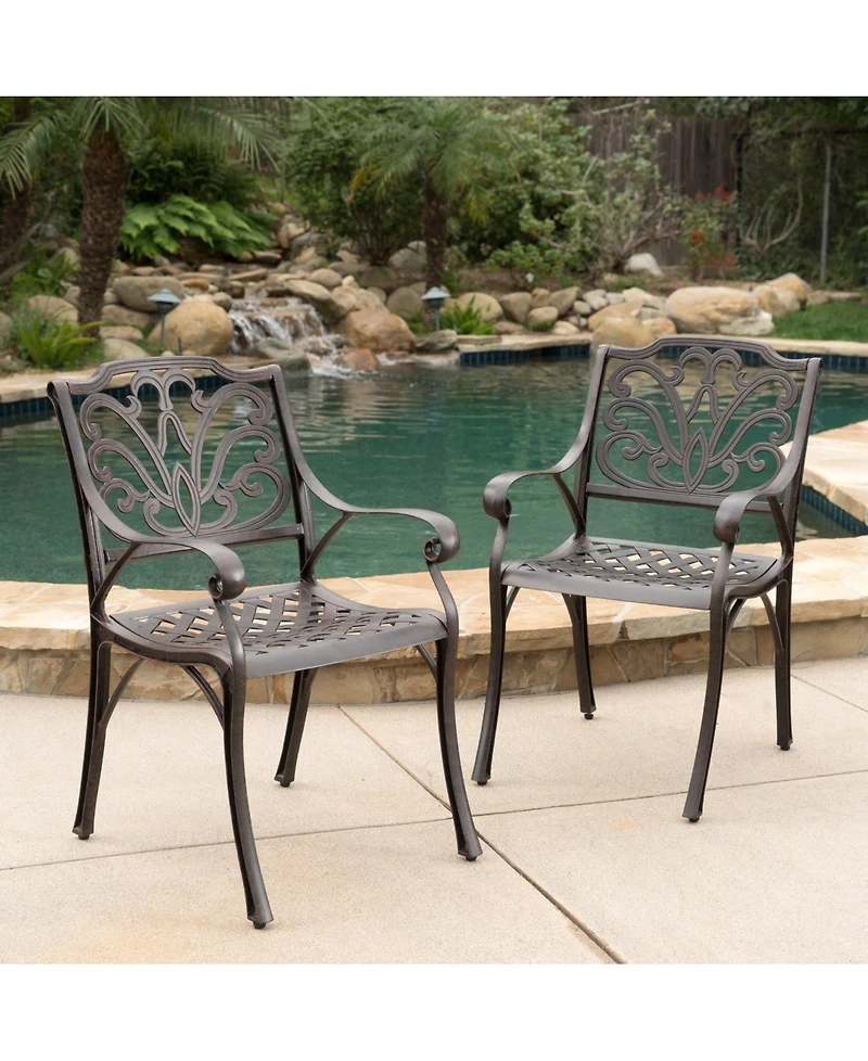 Noble House Alfresco Outdoor Cast Dining Chairs, Set of 2