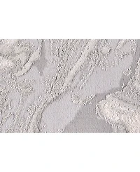 Feizy Prasad R3894 Silver 2'10" x 7'10" Runner Rug