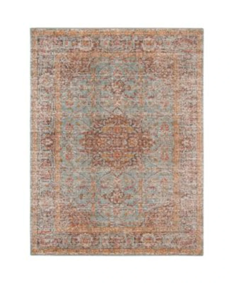 Closeout Amer Rugs Eternal Ete 30 Mint Rug