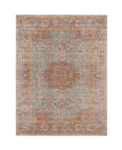 Closeout Amer Rugs Eternal Ete 30 Mint Rug