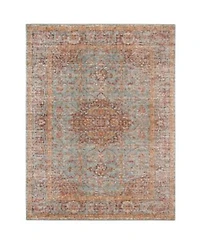 Closeout Amer Rugs Eternal Ete 30 Mint Rug