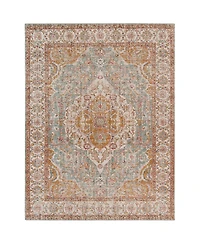 Amer Rugs Eternal Ete-3 Aqua/Ivory 5'7" x 7'6" Area Rug