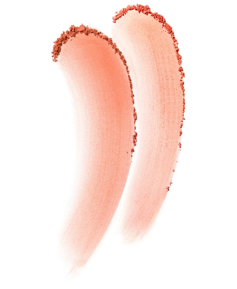 Cle de Peau Beaute Powder Blush Duo Refill