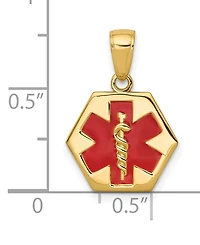 Medical Info Hexagon Charm Pendant in 14k Gold