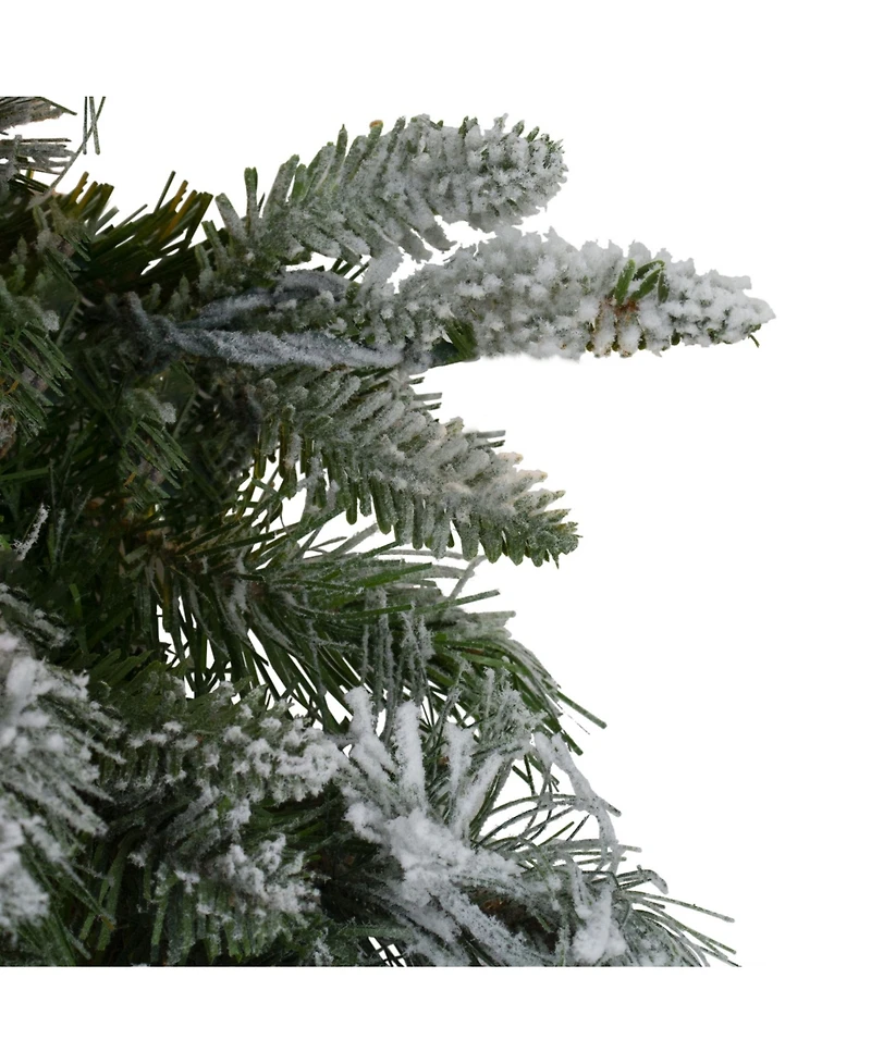 Northlight Unlit Flocked Mixed Colorado Pine Artificial Christmas Wreath