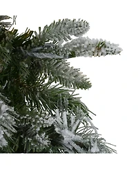 Northlight Unlit Flocked Mixed Colorado Pine Artificial Christmas Wreath
