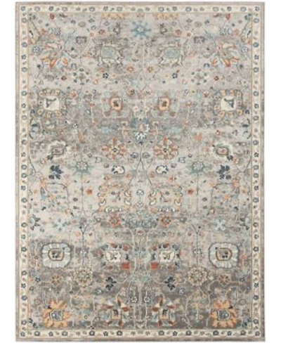 Amer Rugs Bohemian Bhm 6 Gray Rug