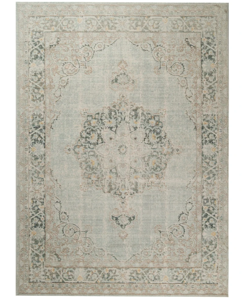 Amer Rugs Century Cen-21 Aqua 5'3" x 7'3" Area Rug