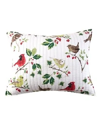Levtex Joybirds Watercolor Etched Quilt Sets