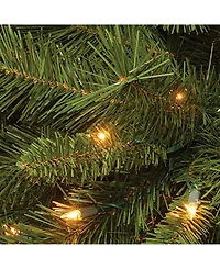 National Tree Company 6.5' Winchester Pine Tree with 400 Clear Lights