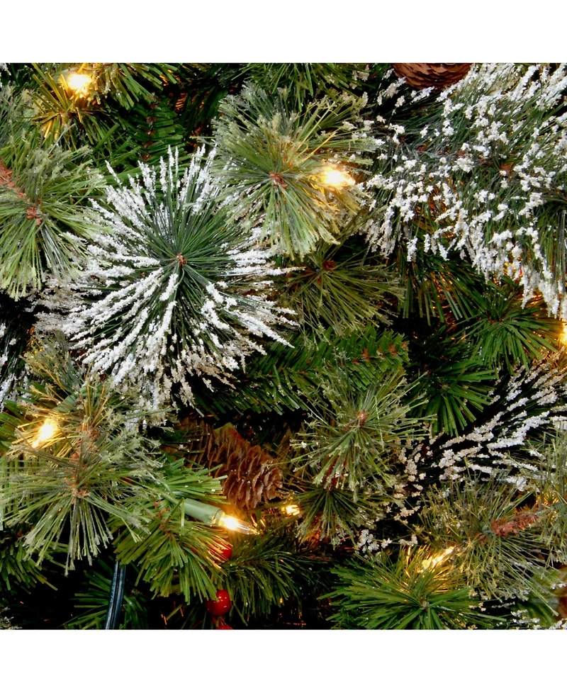 National Tree Company 24" Wintry Pine Wreath with Cones, Red Berries, Snowflakes with 50 Battery-Operated Soft White Led Lights