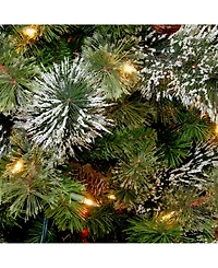 National Tree Company 24" Wintry Pine Wreath with Cones, Red Berries, Snowflakes with 50 Battery-Operated Soft White Led Lights