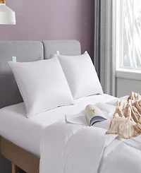 Martha Stewart Premium Down Pillow, Jumbo