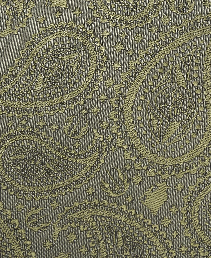 Men's Yoda Paisley Tie