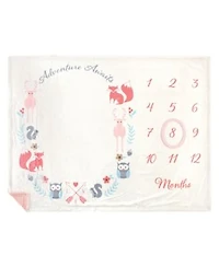 Hudson Baby Infant Plush Holiday Milestone Blanket Little Explorer One Size